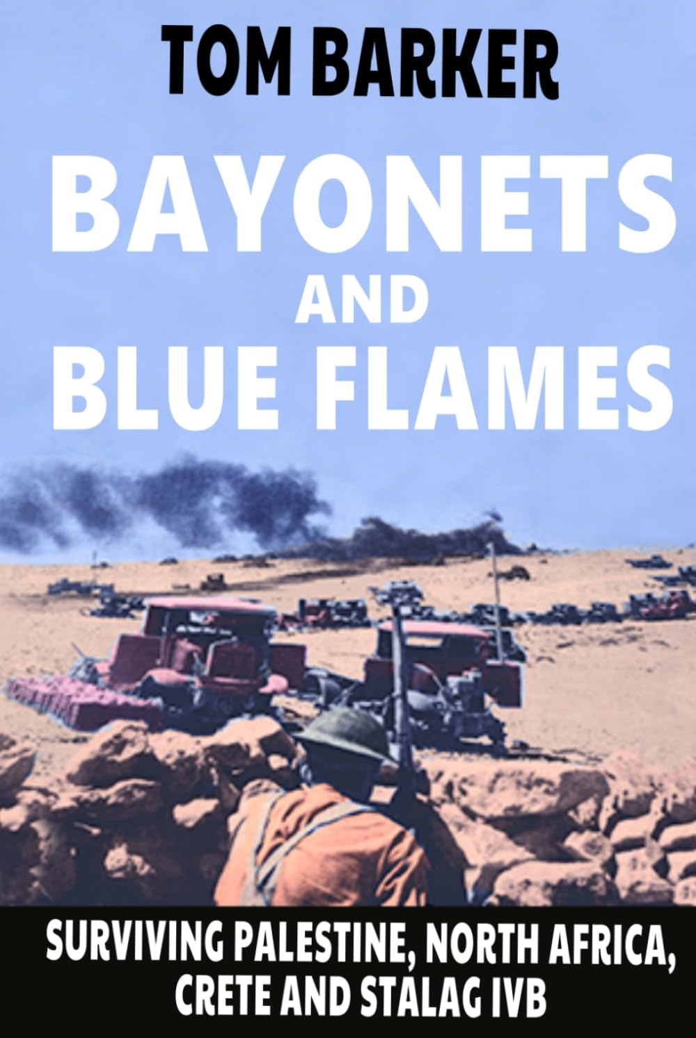 Bayonets and Blue Flames: Surviving Palestine, North Africa, Crete and Stalag IVB