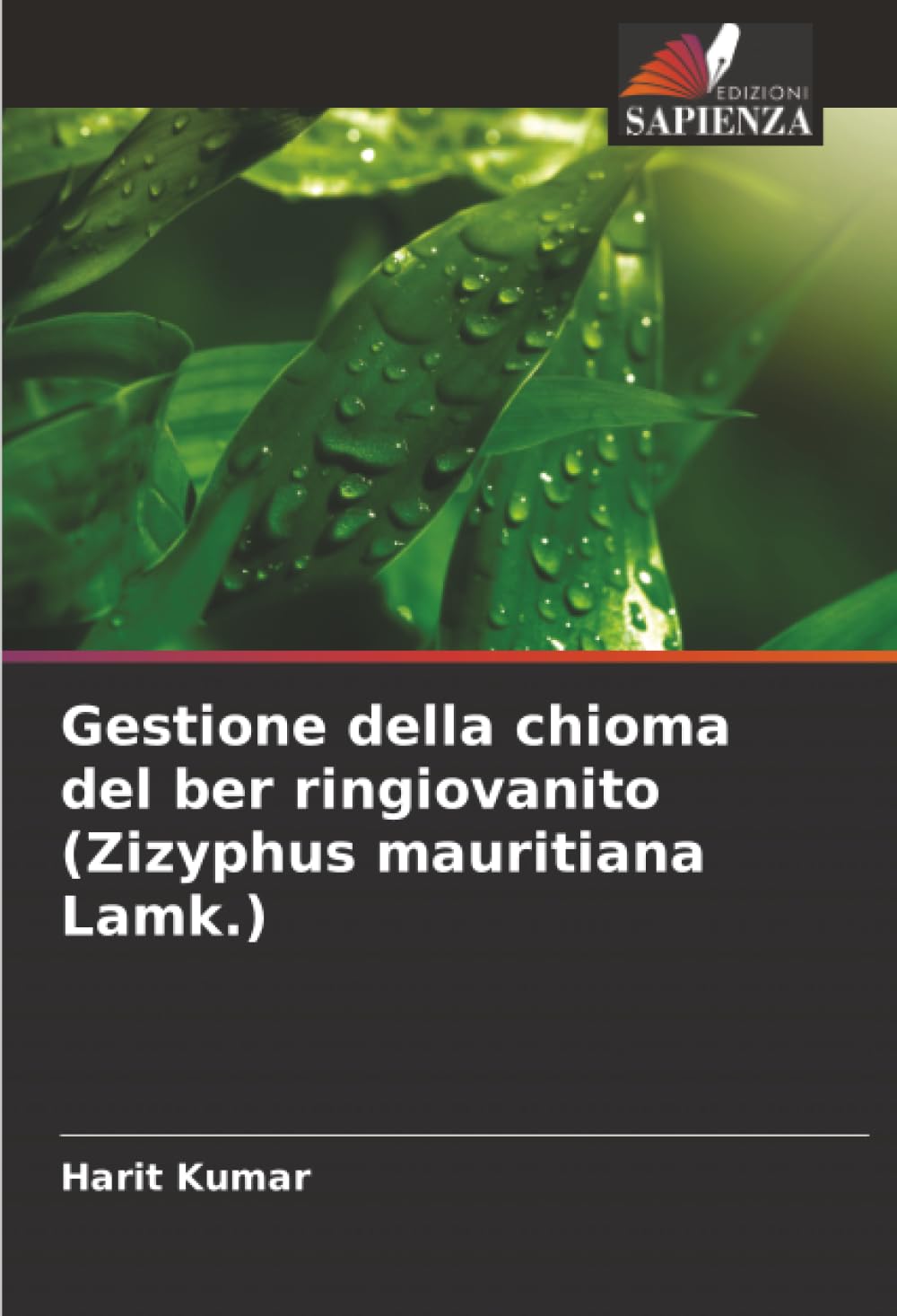Gestione della chioma del ber ringiovanito (Zizyphus mauritiana Lamk.)
