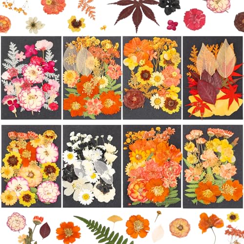 Flores secas prensadas naturales pack 200 piezas miniatura 1
