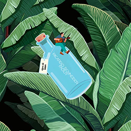 Ricardo Schneider & FaOut