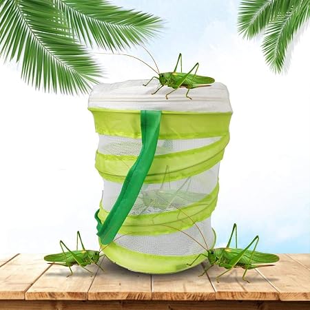 Amazon Co Jp 昆虫ケージ 虫かご バタフライケージ ポップアップハウジング メッシュ 蝶 爬虫類 折りたたみ 繁殖 飼育ケース 蝶 バッタ シルクワーム グローバーム生息地 通気性 ネット ひも付き おもちゃ