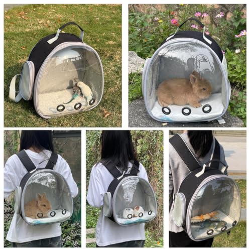 small animal carrier backpack space capsule bubble window carrier backpack for lizard guinea pig black