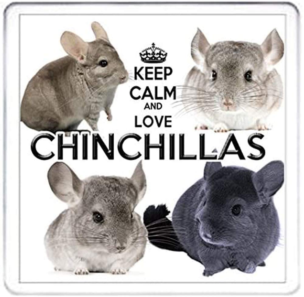 Kazmugz Chinchilla Gift Coaster, Keep Calm And Love Chinchillas, Matching Chinchilla Items Available. Gift For Birthdays, Easter, Christmas Or Any Other Celebration.
