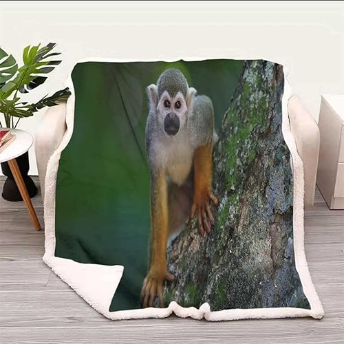 Miniatura 2 de Jpg Cobijas Calientes para Invierno - Manta suave decorativa para sofá, dormitorio, tamaño pequeño, 31.5 x 47 pulgadas