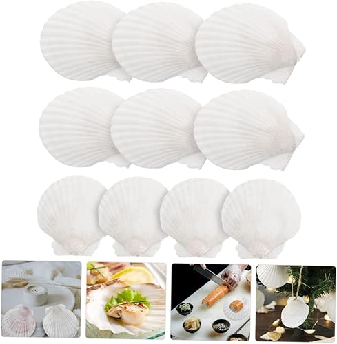 Miniatura 5 de Healifty Platos de concha de vieira 10 piezas de decoración natural de conchas para decoración de barbacoa de cena