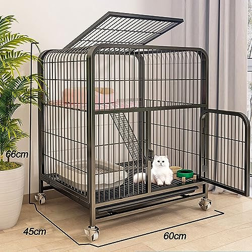 Maison sûre et confortable : niche d'intérieur pour chat et chaton