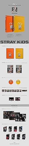Stray Kids en la vida 1er álbum reempaque Normal A Ver 72p PhotoBook+2p PhotoCard+1p Postal+Seguimiento Kpop sellado