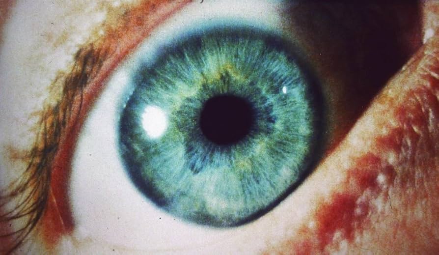 Amazon.com: シャドー -HDリマスター特別版- [Blu-ray