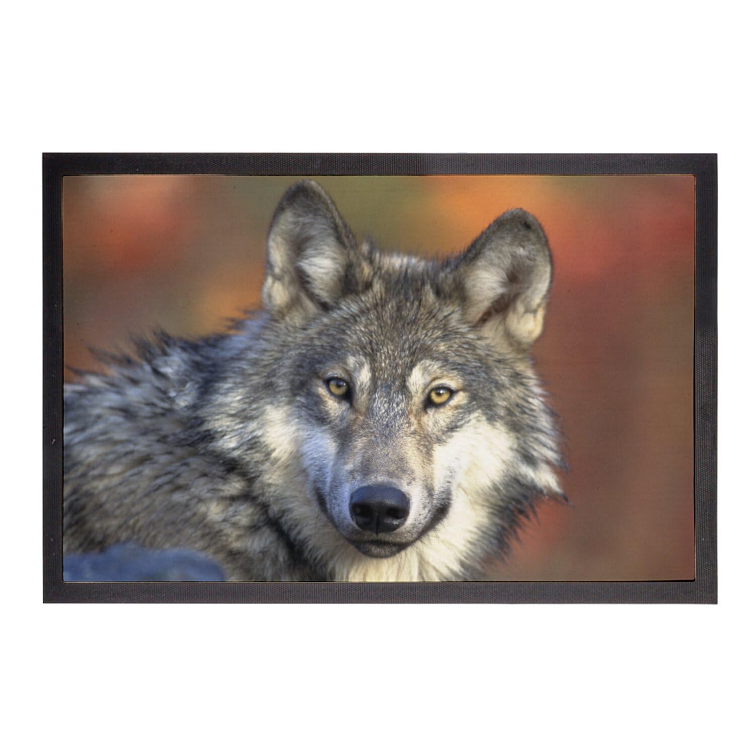 Paillasson loup sauvage 75x50 cm tapis d'entrée imprimé animalier