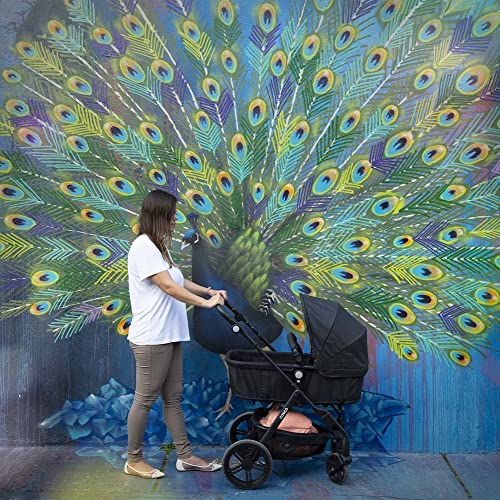 Cosco Kids, Travel System Poppy Duo, Preto... glide