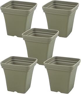 12 Rectangle Planter Ideas for Modern Patios and Small Gardens 43 Richell 001840 Herb Planter, Type 20 Corners, Green, Set of 5