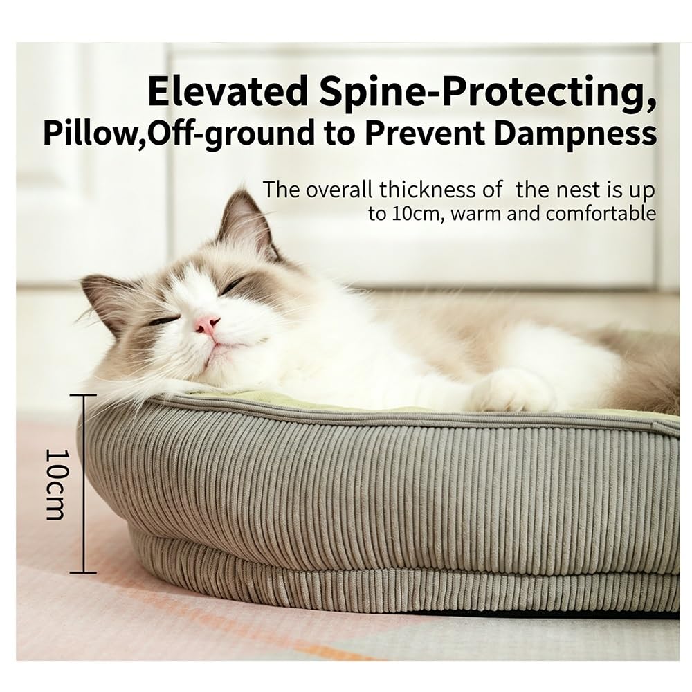 Generico Cuccia per Gatto Lavabile, Morbida Cuccia in Peluche con Bordi Rialzati, Letto Ortopedico con Rivestimento Rimovibile, Comodo per Gatti da Casa(Medium)