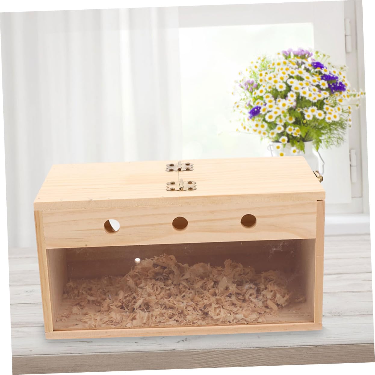 Cockatiel Nistkasten Aus Holz Transparente Vogelzuchtbox Für Kleine Vögel Wetterfestes Vogelhaus Für Sittiche Und Lovebirds Langlebiger Nistplatz Für Zucht Und Brutpflege