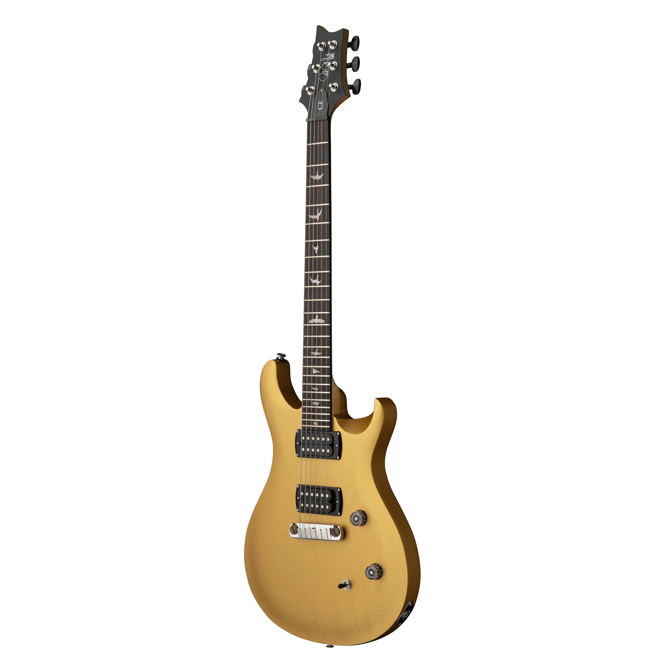 Amazon.co.jp: SE CE24 Standard Stoptail Satin Metallic Gold : 楽器