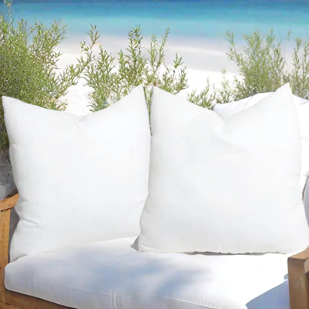 Awenbin Throw Pillows Insert?Pack of 2? 16 * 16 in Square Cushion Inner Soft Fluffy?350g Plump Stuffer for More Comfortable?Bed and Couch Pillows Indoor Decorative Pillows