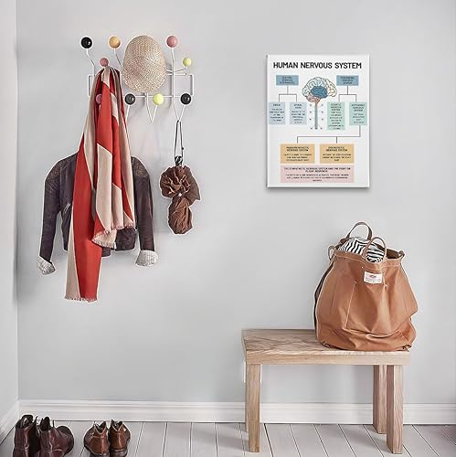 Miniatura 3 de PHAMTE Póster de pared para la salud mental del sistema nervioso humano, anatomía cerebral y psicología, lienzo enmarcado para decoración de oficina
