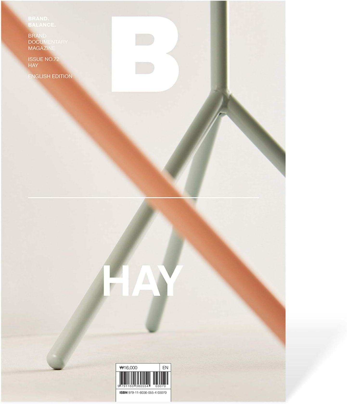 Magazine B - HAY Single Issue Magazine – January 1, 2019