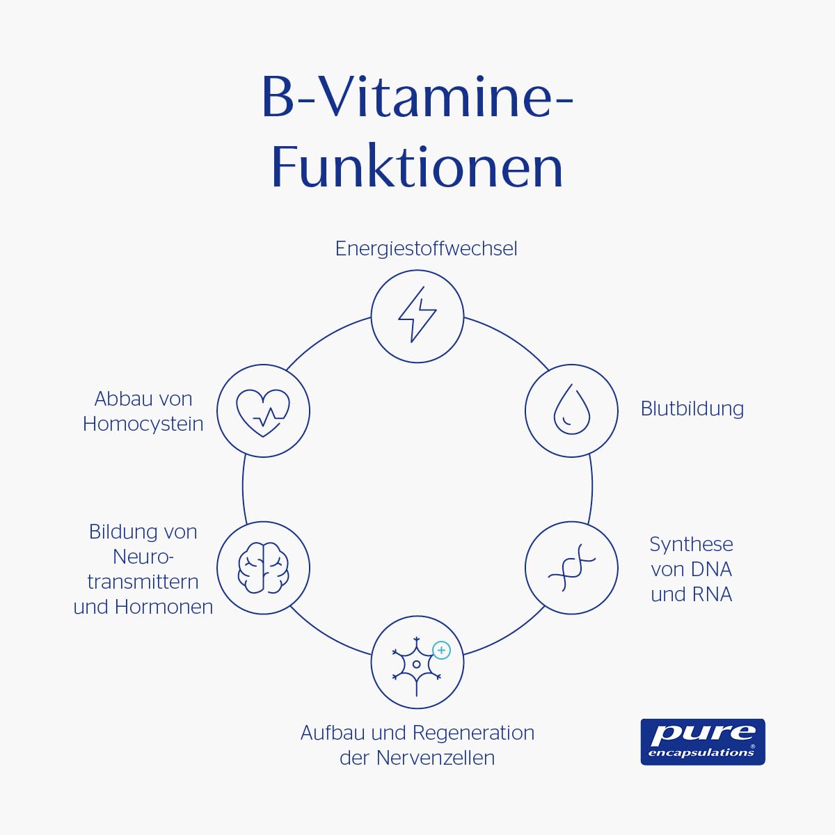 Pure Encapsulations B-Complex | 8 B-Vitamine im optimalen Verhältnis | B1, B2, B6, B12, Biotin, Folat (als Metafolin), Niacin (B3), Pantothensäure (B5) in aktivierter Form | 120 Kapseln (4 Monate)
