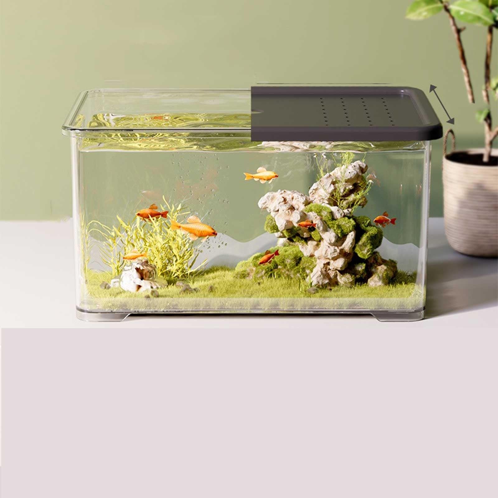 Amazon.co.jp: 水族館 透明アクリル製水槽 スライド蓋付き 小型