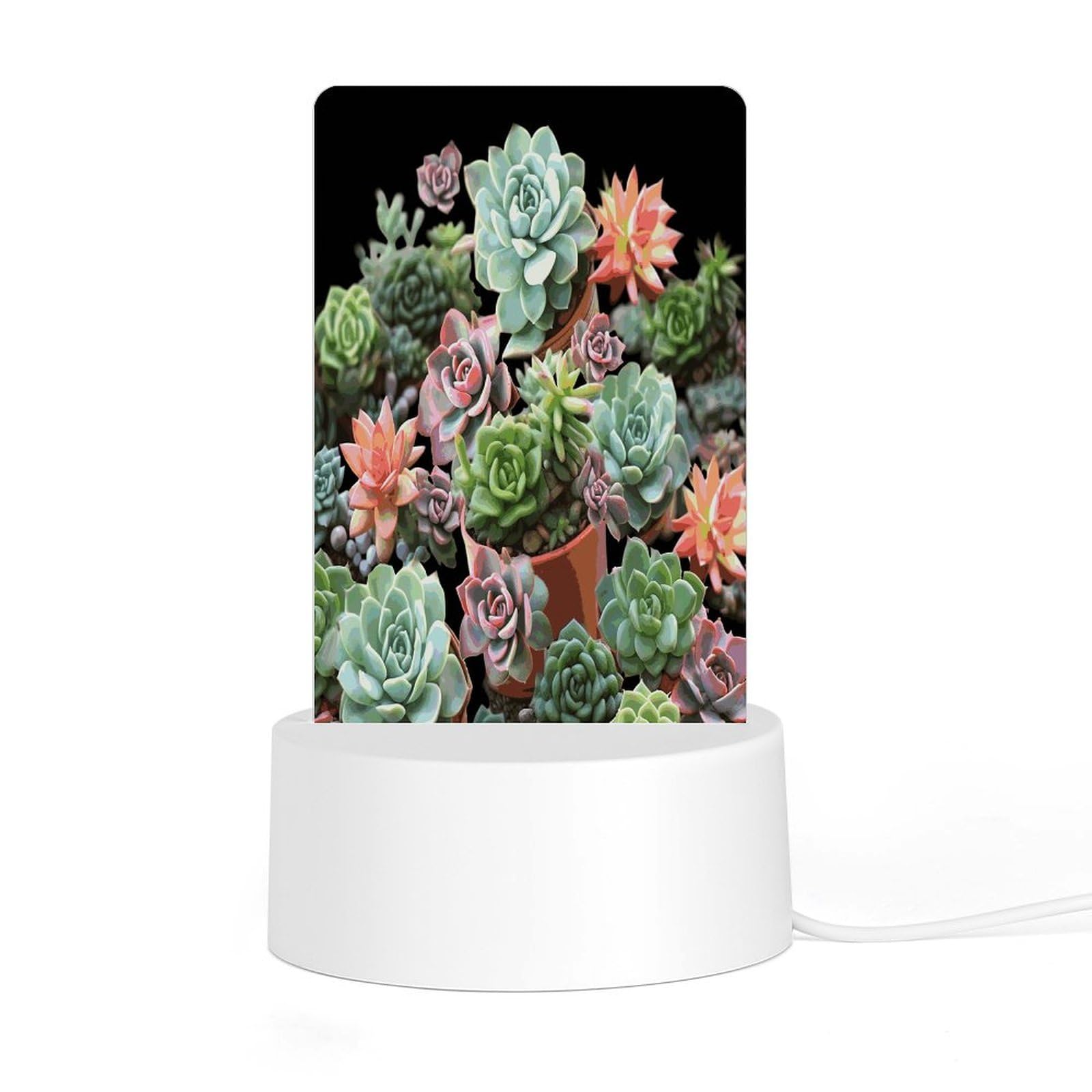 Adfgyerh Style Succulents Night Light Acrylic Material Easy Installation, Home Decor Usb Interface Power Supply, Lamp For Restaurant Bar Cafe Room Decor
