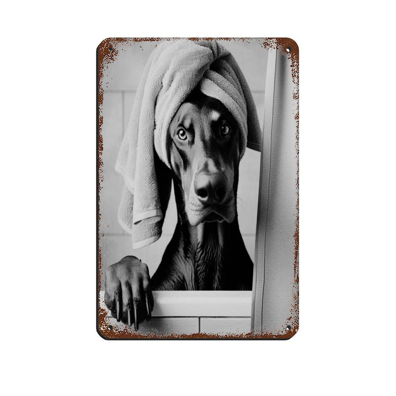 Doberman Pinscher Dog Bathroom Art (2) Retro Poster Metal Tin Sign Chic Art Retro Iron Painting Bar People Cave Cafe Family Garage Poster Wall Decoration 8x12inch(20x30cm)