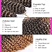 Passion Twist Hair - 8 Inch 9 Small Bundles Afro Kinky Curly Crochet Hair for Black Women, Crochet Braids Curly Hair Water Wave Synthetic Braiding Hair Extensions (9 Bundles, T1B/27#)