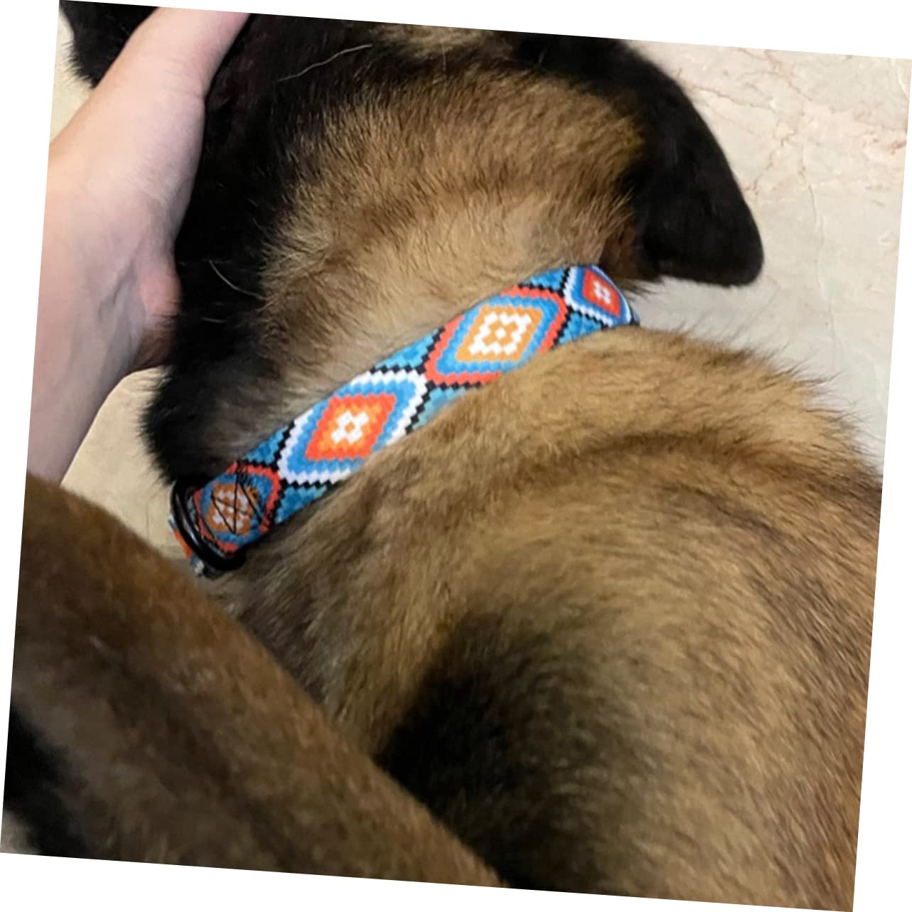 SUPVOX 15 Pz Collare Da Cucciolo Pettorina Per Animali Domestici Arredamento Rosso Bel Collare Per Cani Collari Per Cuccioli Campanelli Per Gatti Poliestere Decorazioni Delicato