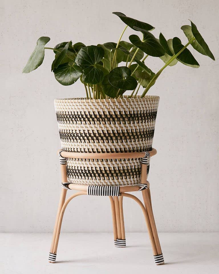 Ayra Ethnic Rattan Stand with Planter Basket