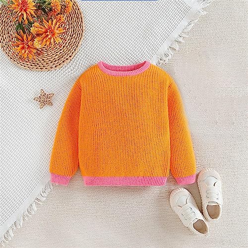 Toddler Girls Knitted Sweaters Cotton Long Sleeve Crewneck Thermal Fall Sweatshirts for Kids Cute Soft Comfy Clothes2