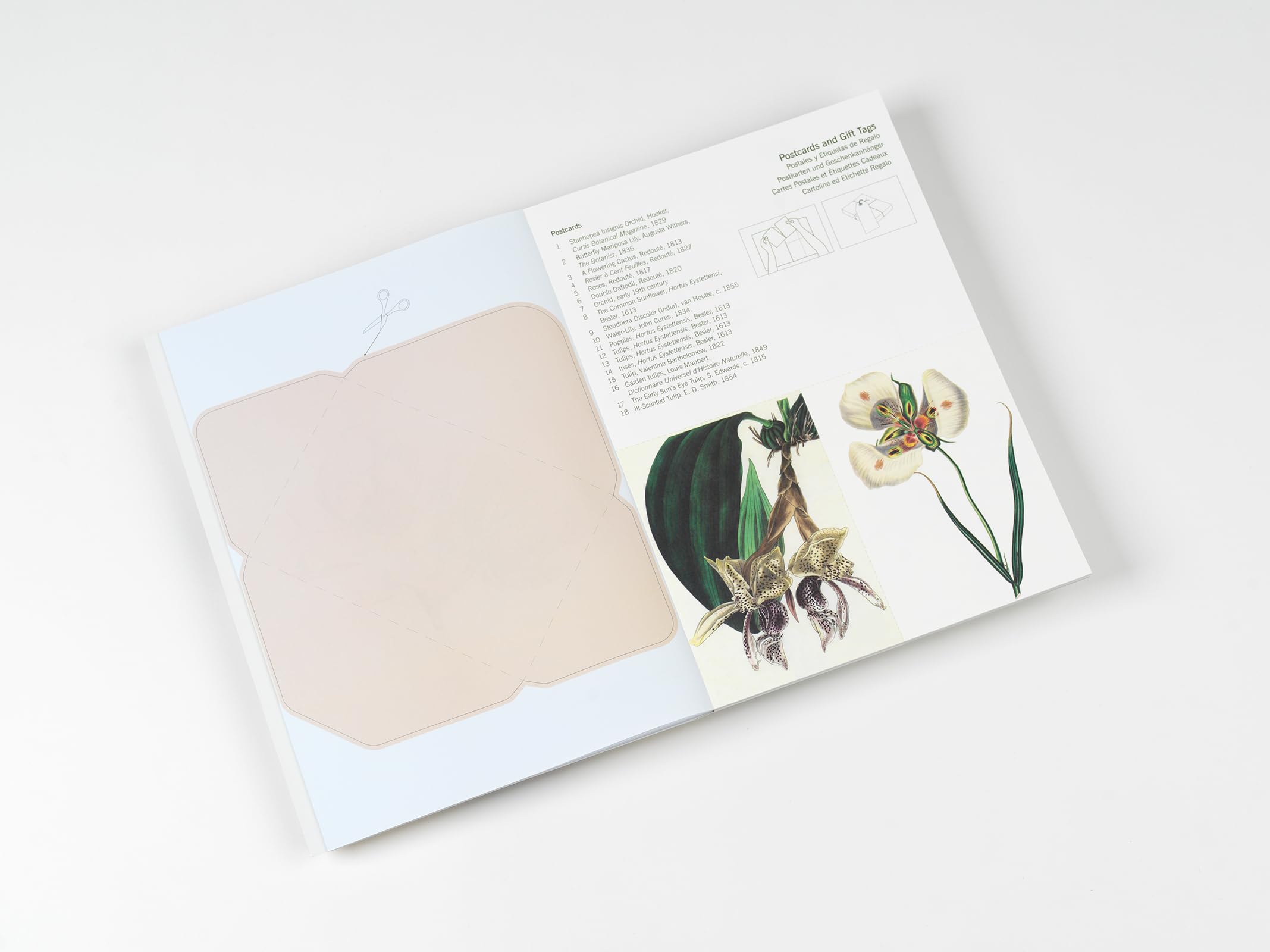 Flowers: Creative Paper Book