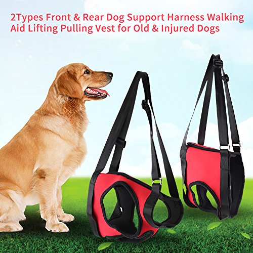 GLOGLOW 2 Arten Front & Rear Dog Support Harness, Wiederverwendbare Gehhilfe Unterstützung Hebe Pulling Vest für Alte & Verletzte Hunde(Hinterbein M)