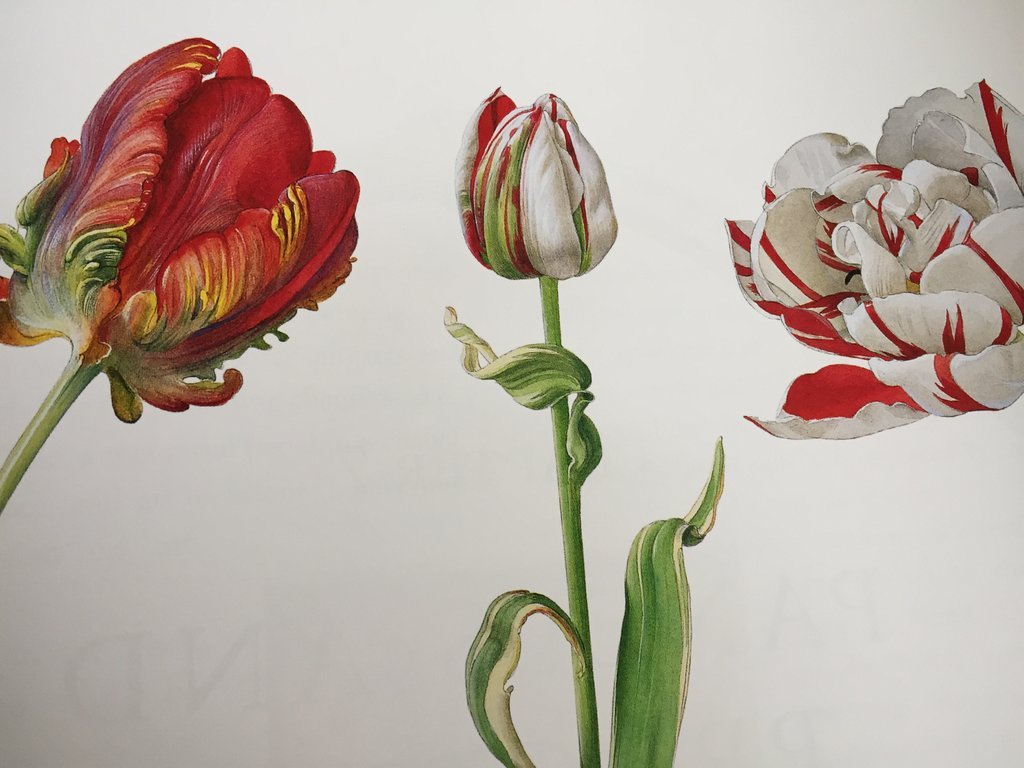 Revisiting the Painted House: More Than 100 New Designs for Mural and Trompe L'Oeil Decoration