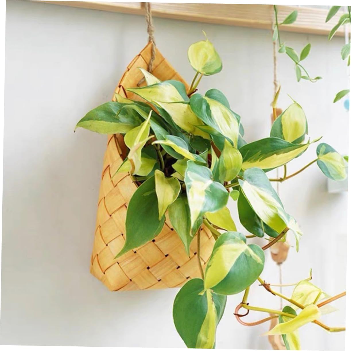 6pcs Hand Woven Wall Hanging Storage Baskets Rustic Woven Baskets for Organizing Letters and Kitchen Utensils Decorative Hanging for Home Decor