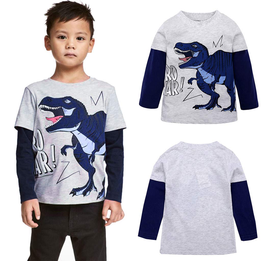Toddler Boys Dinosaur Long Sleeve Shirts Cute Kids Letter Print Color Block Sleeve Tops Child Casual (Grey, 3-4 Years)
