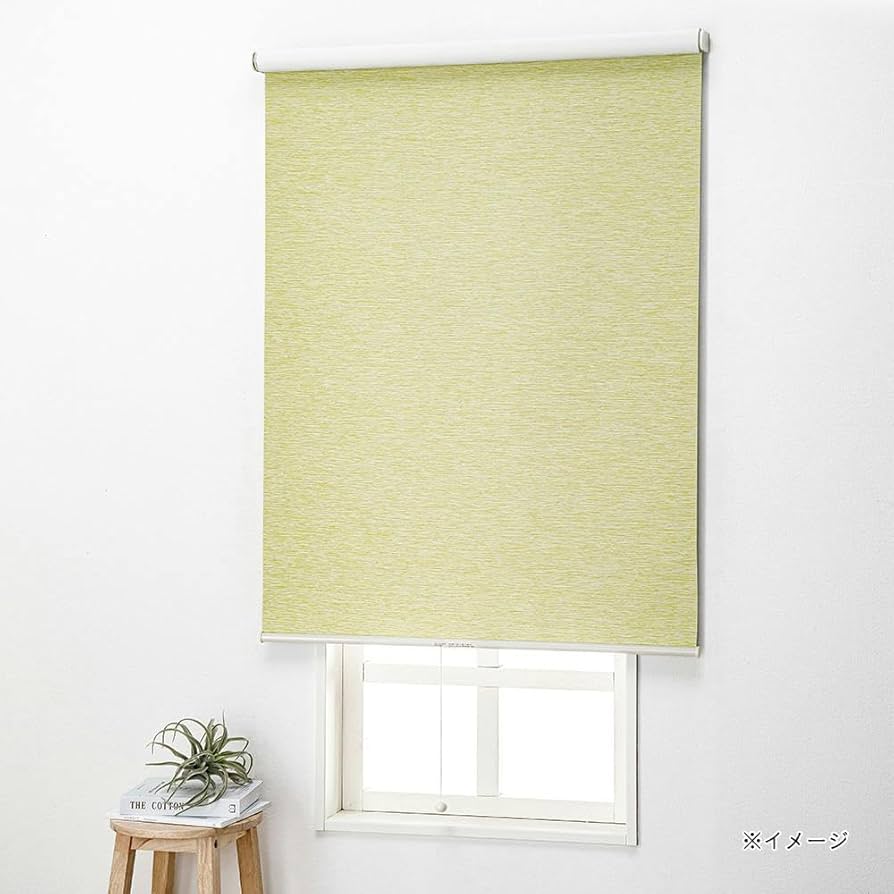 CAINZ 遮光 ロールスクリーン プルコード式 90×220cm グレー 2本