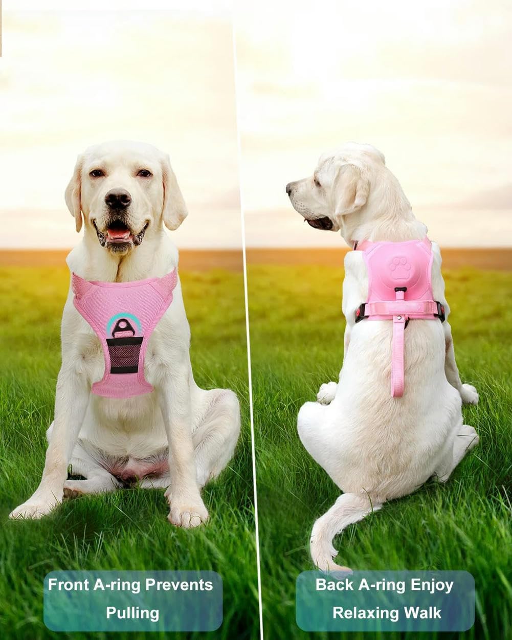 umsl AMOBOX Harnais Anti-Traction pour Chiens de Taille Moyenne avec Laisse rétractable intégrée, Harnais Robuste à Clip Avant