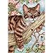 Dimensions Gold Collection Counted Cross Stitch Kit, Napping Kitten, 18 Count White Aida, 5'' x 7''