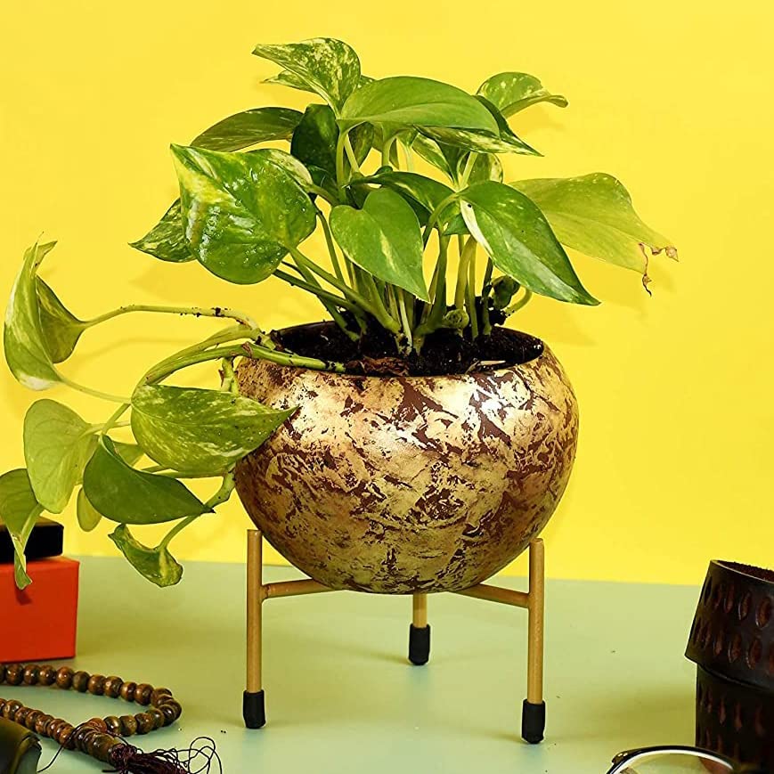 Image of HINS Metal Polka Round Shape Flower Plant Pot With Stand (Pink, Small Set of 3) Metal Pots For Indoor Plants I Elevated Garden Planter I Raised Planter I Desk Plant I Raised Planter Box I Ascent Homes Metal Planter I Raised Planter Box With Legs I Brass Pots For Indoor Plants I Golden Planter I Mid Century Plant Stand I Brass Planters For Indoor Plants I Indoor Plant Stand For Living Room I Metal Planters Pot For Indoor Plants designer pots for indoor plants