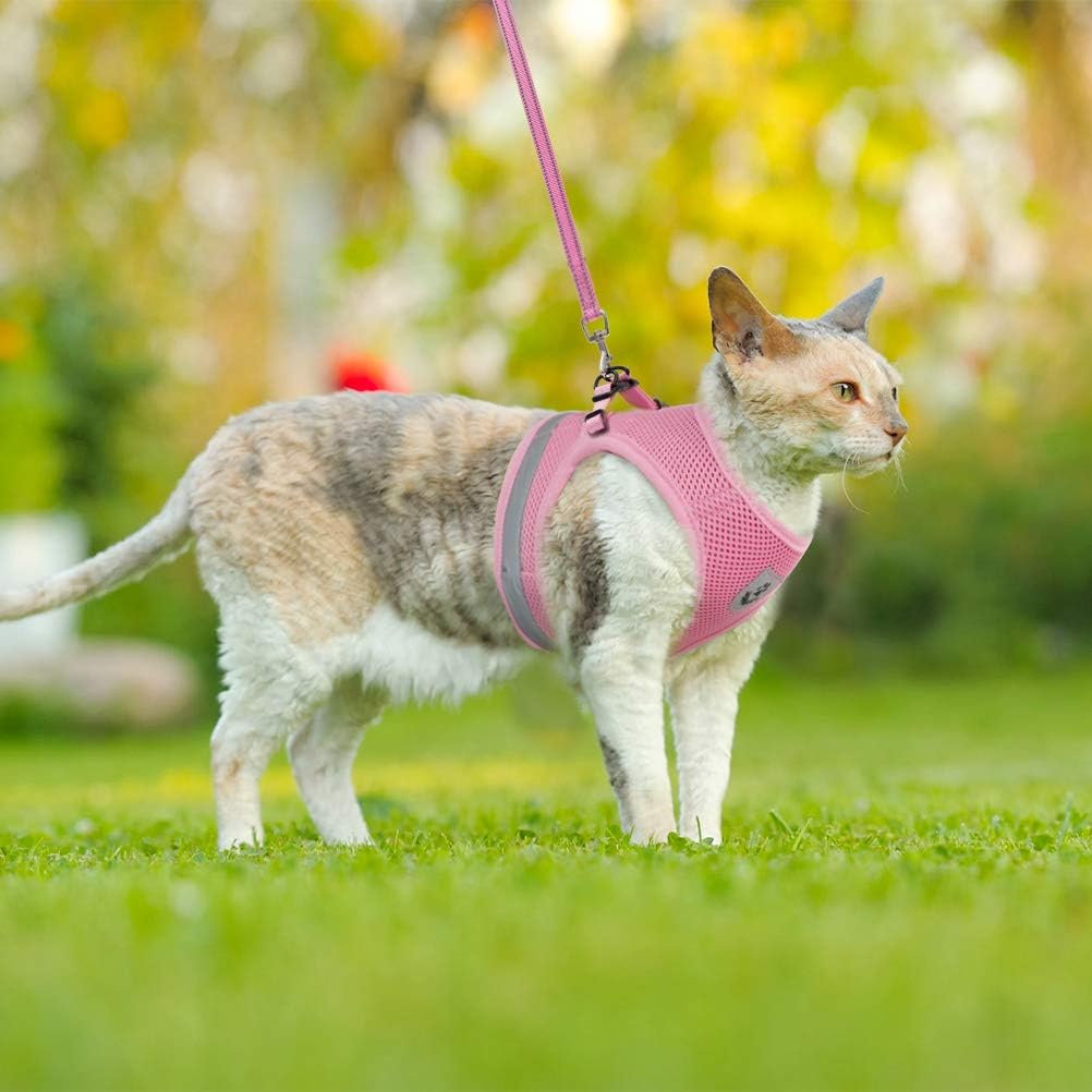 Escape Proof Cat Harness and Leash - Adjustable Reflective Vest Harness and Leash for Walking - Breathable Mesh and Reflection Strap - for Cats and Puppy