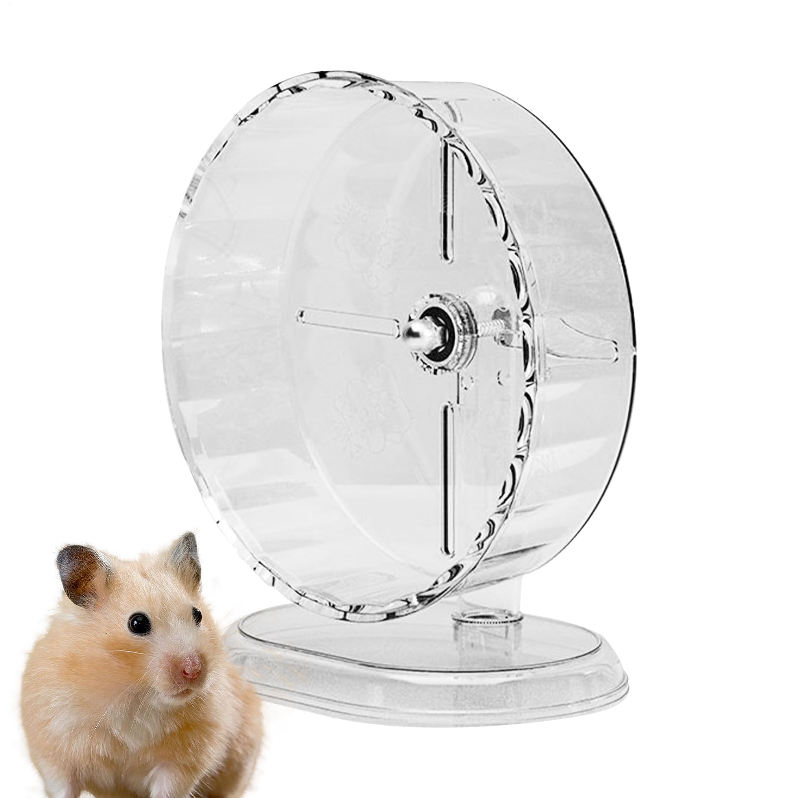 Roue pour furet et nain éliminant le bruit de frottement