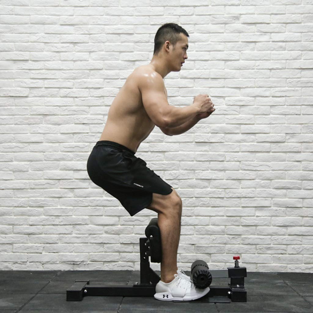 シーシスクワット トレーニングベンチ 楽天市場】シシー スクワット マシンの通販 シーシスクワット