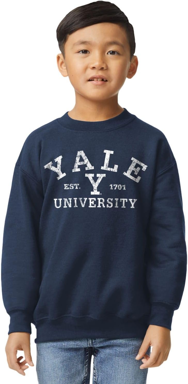 Barnesmith NCAA Unisex Youth Crewneck Sweatshirt, Vintage Logo, Color