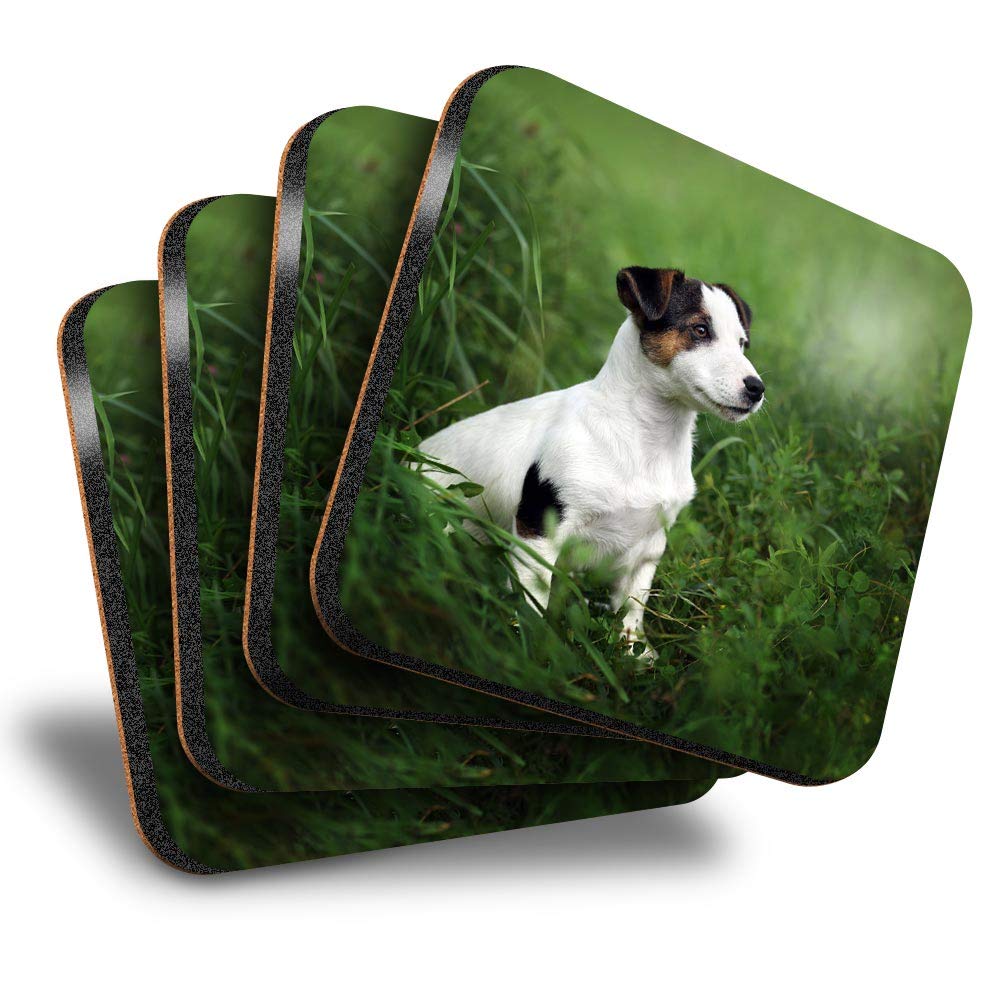 Destination Vinyl Ltd Multicolor Great Coasters (Set Of 4) Square - Jack Russell Terrier Dog Puppy Drink Glossy Coasters/Tabletop Protection For Any Table Type #16927