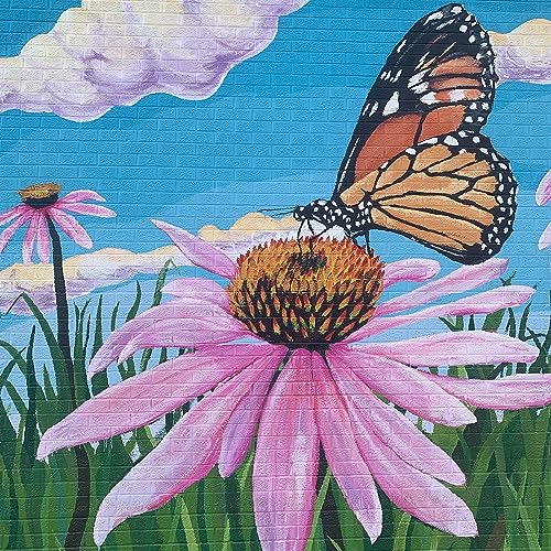 Health & Wellness- "Not just healthcare but QUALITY care"