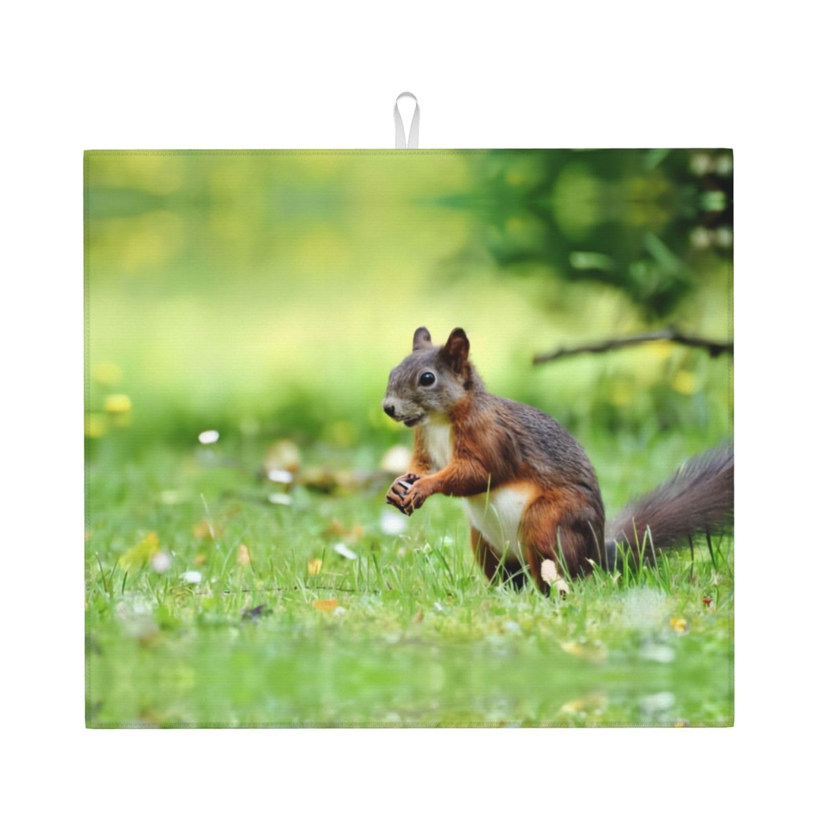 YYHWHJDE Cute Squirrel Prints Kitchen Drying Mat - Absorbent Dish Drying Throw with Vibrant Prints, Quick-Dry Countertop Layer for Dishes & Appliances - Non-Slip & Foldable
