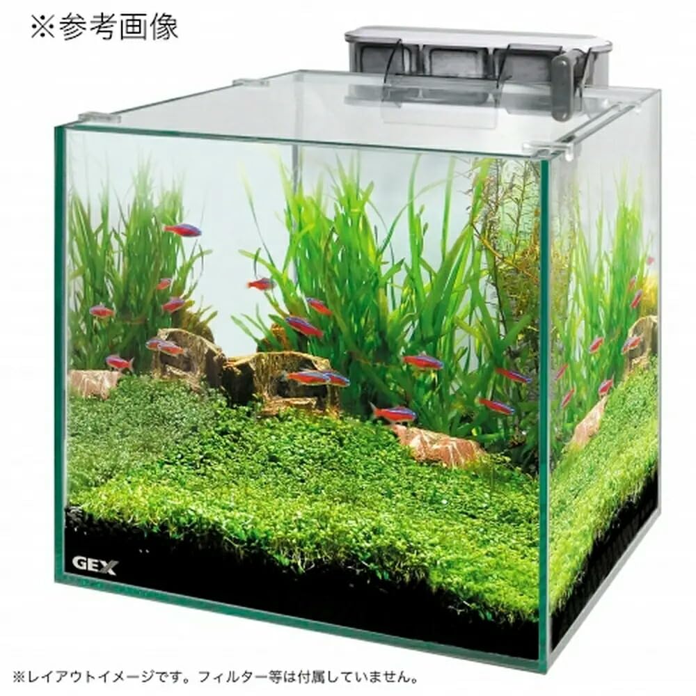 Gex Glassterior Cube 300 Aquarium Tank : Amazon.sg: Pet Supplies
