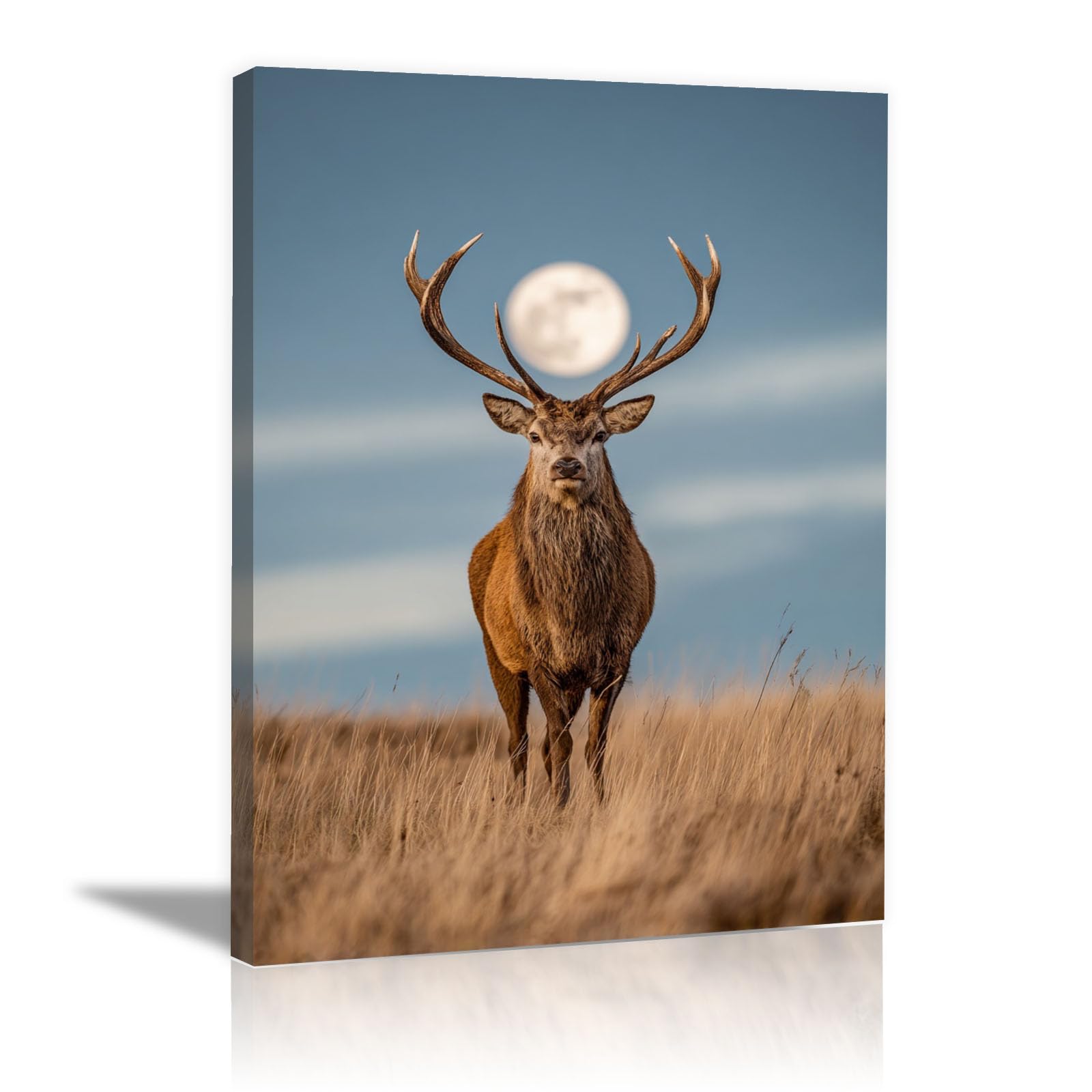 TERUEA Cute Animal Canvas Wall Art Picture Animal Full Moon Grassland Wildlife (Brown)-40x60cm Framed