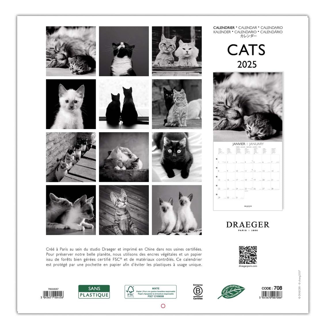 DRAEGER PARIS 1886, Large Wall Calendar 2025-29x29 cm, 7 Languages, September 2024 to December 2025-12 Photo Themes - Image 4