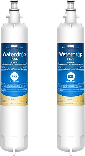 Waterdrop Plus WDP-F19C Replacement for GE® RPWFE®, RPWF (with CHIP) NSF 401 Refrigerator Water Filter, Compatible with WSG-4, GFE28GBLTS, GFE28GSKSS, PFE28KMKES, 2 Filters（Package May Vary）