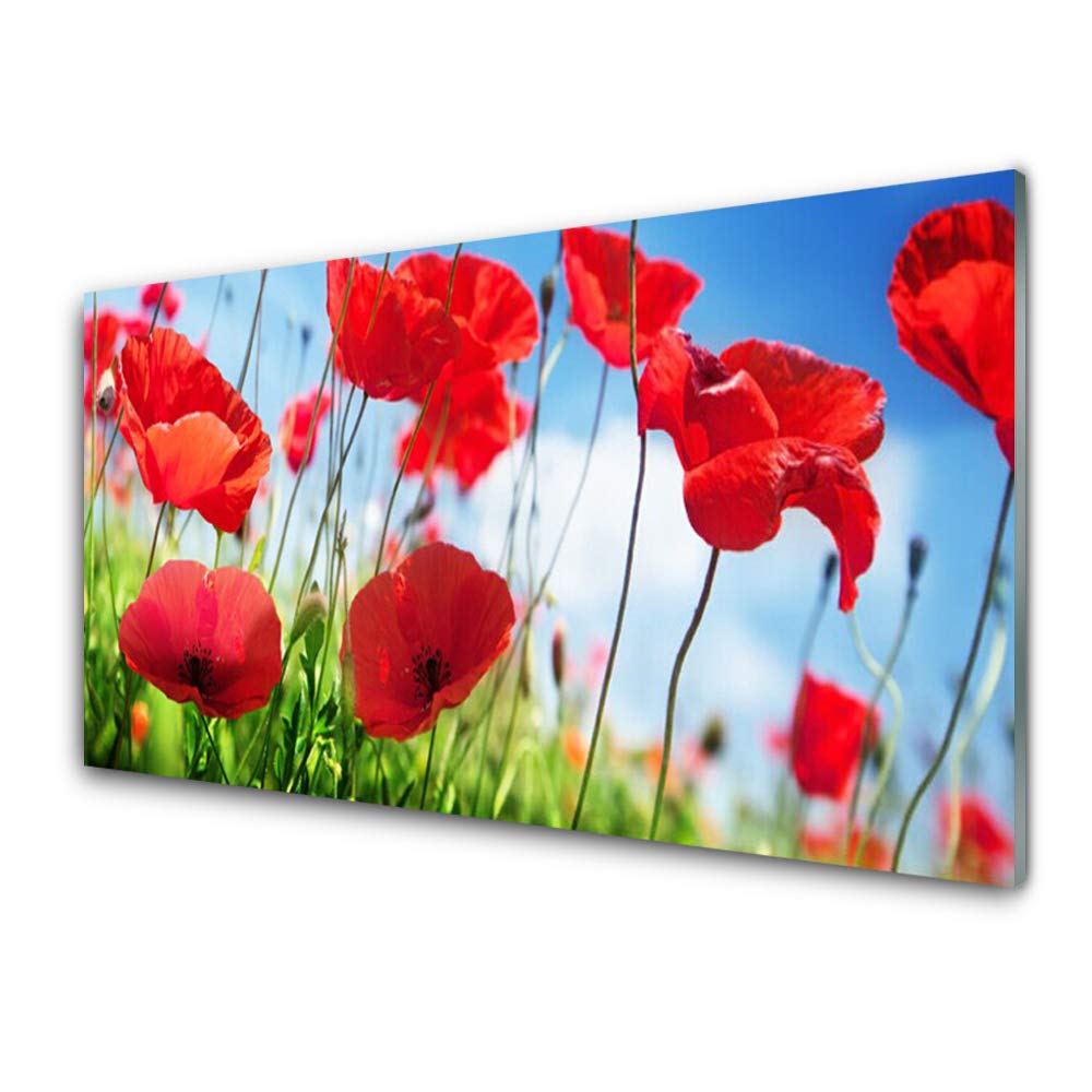 Impression sur Verre Trempé 100x50cm Tulup - Tableau Mural Nature Poppy Herbe pour Salon